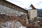 Ras1